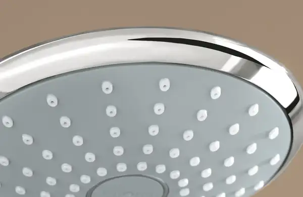 Ручний душ, 1 режим струменя Grohe Euphoria (27265000)