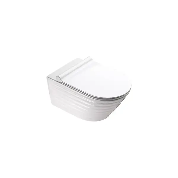 Унитаз подвесной Newflush (безободковый) Catalano Premium с сиденьем Soft Close, белый матовый (1VS55RZEBM+5SCSTPBM) фото 1 Aquada.com.ua