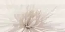 OPOCZNO Декор Avangarde White Flower 29,7x60 код 7414 Опочно (TDZZ1032142405)