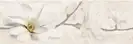Декор Stone Flowers Beige Inserto 250x750x10 Opoczno (TDZZ1211661705)