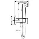 Hansgrohe Bidette E EcoSmart+ Гігієнічний душ, хром (29233000)