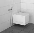 Kludi Гігієнічний душовий гарнітур, хром (7304205-00)