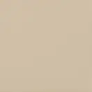 Плитка підлогова Bazo Beige Monokolor MAT 30x30 код 4949 Ceramika Paradyz (Q---300X300-1-BAZO.BEMO)