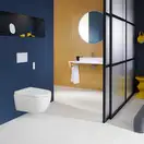 Geberit AquaClean Alba Унитаз-биде подвесной, белый (146.350.01.1)