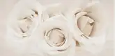 OPOCZNO Декор Camelia Flower 29,7x60 код 3423 Опочно (TDZZ1228852018)