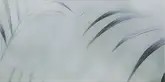 Декор Taiga B SZKL 29,5x59,5 код 1689 Ceramika Paradyz (IG--295X595-1-TAIG.--B)