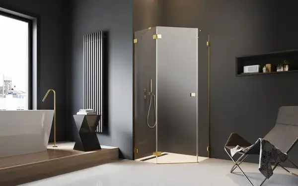Душові двері Essenza Pro Gold PTJ ліві, RADAWAY (10100000-09-01L)