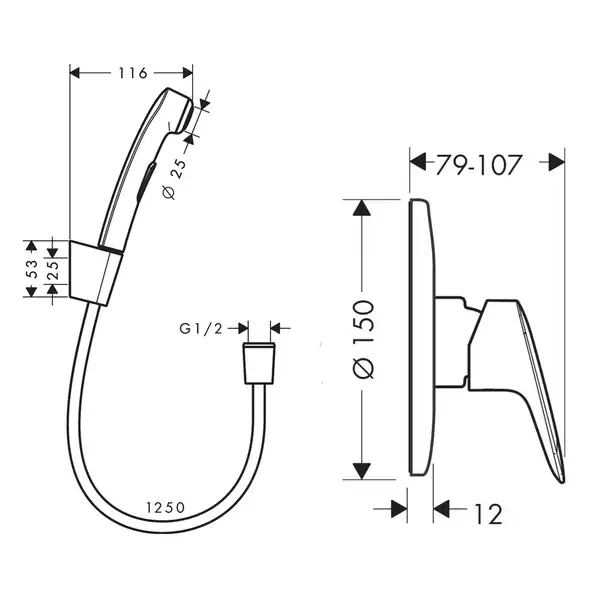 Гігієнічний душ Hansgrohe Logis S зі змішувачем, хром (20200005)