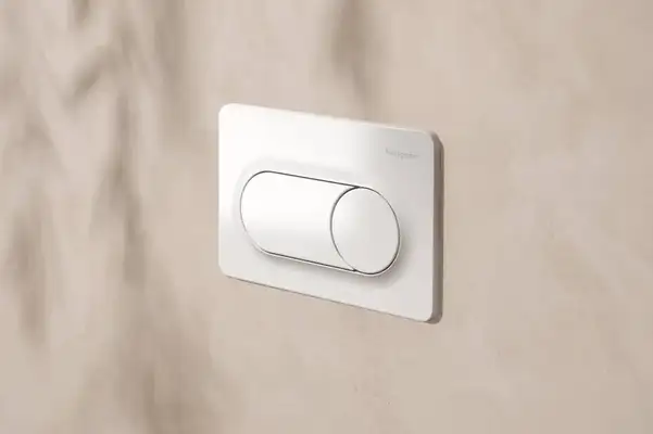 Hansgrohe iFrame Original S Клавіша змиву, Біла (66002450)