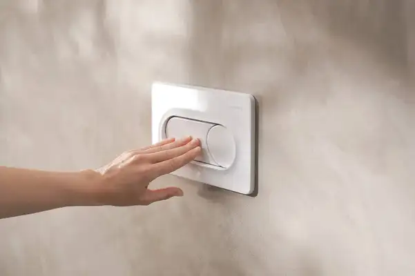 Hansgrohe iFrame Original S Клавіша змиву, Біла (66002450)