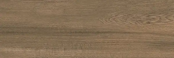 PARADYZ Serene Brown Плитка стінова, коричнева (S-R-250X750-1-SERE.BR)