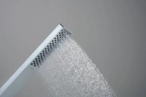 Лійка для душу Hansgrohe Pulsify E 100 1jet EcoSmart (колір - хром) 24320000