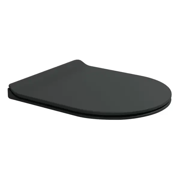 Кришка для унітазу Flaminia Link Slim soft-closing, швидкознімні петлі, carbone matt (LKCW09) (LKCW09CAR)