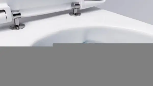 Geberit Icon Унитаз подвесной, матовый белый (501.663.JT.1)