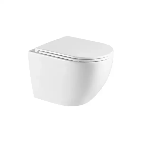 унитаз Omnires Ottawa Comfort 54x36,5 подвесной, без ободка, сиденье дюропласт, white mat (OTTAWACMWBM)