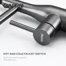 GAPPO G4398-51 кухонный смеситель, черный (G4398-51)