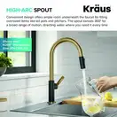 Kraus Oletto KPF-2820, смеситель, золото (KPF-2820BBMB)