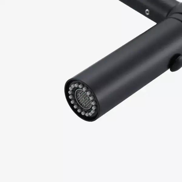 GAPPO G4098-26 Кухонный смеситель, чёрный (G4098-26)