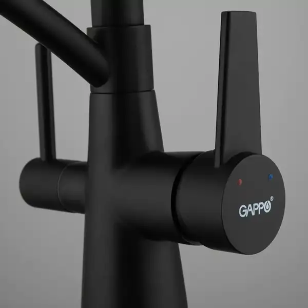 GAPPO G4398-16 кухонний змішувач, чорний (G4398-16)