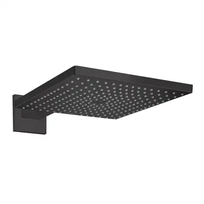 Верхний душ Hansgrohe Raindance E 300 х 300 мм, 1 тип струи (цвет - чёрный матовый) (26238670) фото 1 Aquada.com.ua