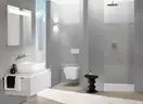 Клавиша смыва Villeroy & Boch ViConnect, белый (92249068) фото 2 Aquada.com.ua