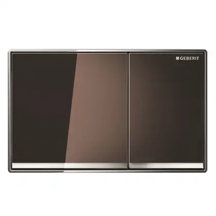 Смывная клавиша Geberit Omega60, двойной смыв (стекло умбра) (115.081.SQ.1) фото 1 Aquada.com.ua