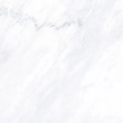 Плитка напольная Fiandre Marble Lab Premium White 60 х 60 см Lucidato (AL191X860) фото 1 Aquada.com.ua Плитка напольная Fiandre Marble Lab Premium White 60 х 60 см Lucidato (AL191X860) фото 1 Aquada.com.ua