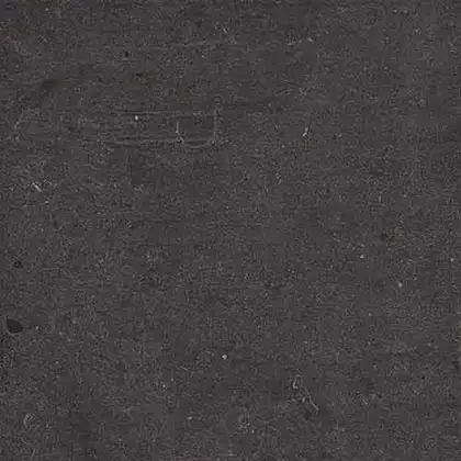 Напольная плитка Fiandre Fjord Black 60 х 60 см Semilucidato 11 мм (AS207X1160R10) фото 1 Aquada.com.ua