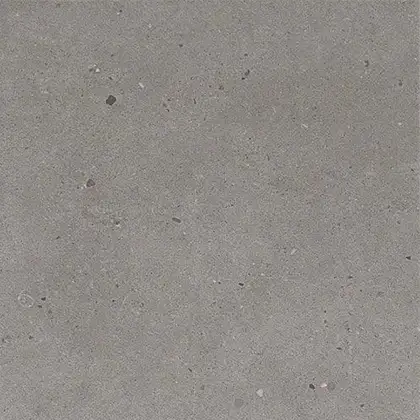 Напольная плитка Fiandre Fjord Grey 60 х 60 см Semilucidato 11 мм (AS209X1160R10) фото 1 Aquada.com.ua