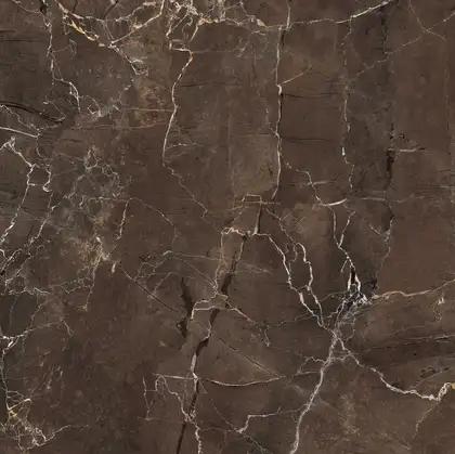 Керамическая плитка Mirage Jewels, Emperador Selected 60х60 LUC, глянцевая (JW 05 LUC 60x60) фото 1 Aquada.com.ua