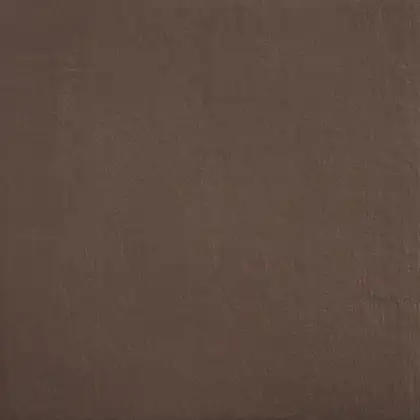 Керамическая плитка Mirage Re_plain, Terra 60x60 NAT, матовая (PA 12 NAT 60x60) фото 1 Aquada.com.ua Керамическая плитка Mirage Re_plain, Terra 60x60 NAT, матовая (PA 12 NAT 60x60) фото 1 Aquada.com.ua