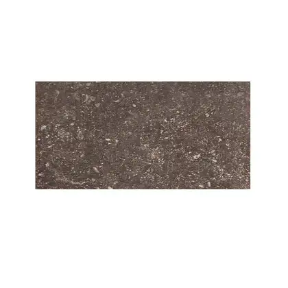 REX CERAMICHE Напольная плитка PIETRA DEL NORD FANGO ANT. NAT. 40X80 40X80 (735318) фото 1 Aquada.com.ua REX CERAMICHE Напольная плитка PIETRA DEL NORD FANGO ANT. NAT. 40X80 40X80 (735318) фото 1 Aquada.com.ua