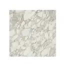 Керамогранит REX CERAMICHE REX MAGNUM I Bianchi Calacatta Lucido 120X120 (744206) фото 1 Aquada.com.ua