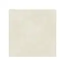 Керамогранит REX CERAMICHE REX MAGNUM Pietra Del Nord Bianco Soft 120X120 (744491) фото 1 Aquada.com.ua