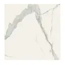 Керамогранит REX CERAMICHE REX MAGNUM Classici Statuario Glossy 120X120 (746604) фото 1 Aquada.com.ua