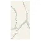 Керамогранит REX CERAMICHE REX MAGNUM Classici Statuario Glossy 120X240 (746605) фото 1 Aquada.com.ua