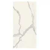 Керамогранит REX CERAMICHE REX MAGNUM Classici Statuario Glossy 120X240 (746605)