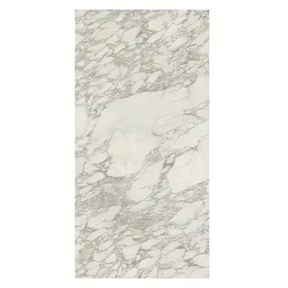 Керамогранит REX CERAMICHE REX MAGNUM I Bianchi Calacatta Lucido 120X240 (744210) фото 1 Aquada.com.ua