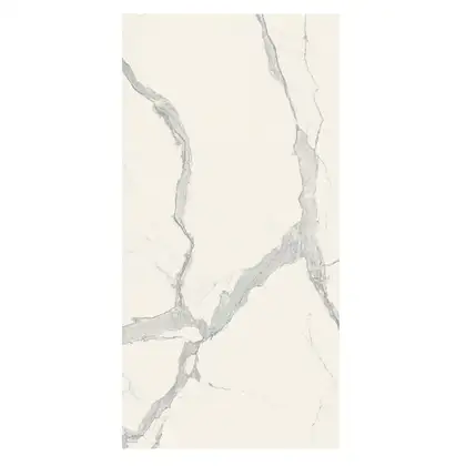 Керамогранит REX CERAMICHE REX MAGNUM Classici Statuario Glossy 120X240 (746605) фото 1 Aquada.com.ua Керамогранит REX CERAMICHE REX MAGNUM Classici Statuario Glossy 120X240 (746605) фото 1 Aquada.com.ua