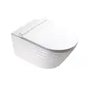 Унитаз без ободка Newflush Catalano Premium с сиденьем Soft Close (1VS55RZE00+5SCSTP000) фото 1 Aquada.com.ua