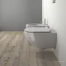 Унитаз подвесной NewFlush (безободковый) Catalano Sfera с сиденьем Soft Close, серый матовый (1VSF54RCS+5SCSTPCS) фото 2 Aquada.com.ua
