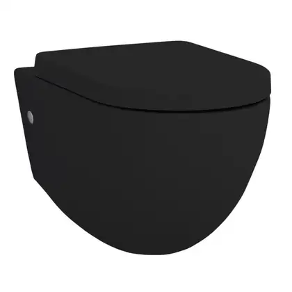 ARTCERAM Унитаз подвесной ArtCeram File 2.0 с сиденьем Soft Close, чёрный (FLV001 03;00+FLA002 03) фото 1 Aquada.com.ua