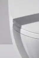 Унитаз-биде Rimless (безободковый) Laufen Cleanet Riva (сиденье в комплекте), белый матовый (820691.757.000.1) фото 20 Aquada.com.ua