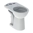 GEBERIT SELNOVA Comfort унитаз напольный Rimfree, воронкоподобный, под бачок внешнего монтажа, горизонтальный выпуск, увеличенной высоты (500.486.01.1) фото 1 Aquada.com.ua