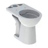 Geberit SELNOVA Comfort унитаз напольный Rimfree, воронкоподобный, под бачок внешнего монтажа, горизонтальный выпуск, увеличенной высоты (500.486.01.1)