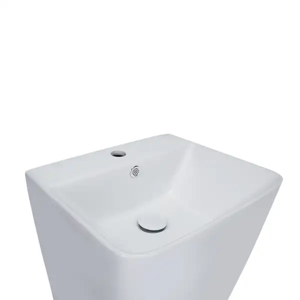 Раковина напольная моноблок Qtap Tern 440х380х830mm White с донным клапаном QT1711G302W Раковина напольная моноблок Qtap Tern 440х380х830mm White с донным клапаном QT1711G302W