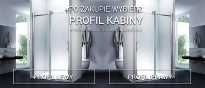 Душові двері REA NIXON-2 100 P (REA-K7440)