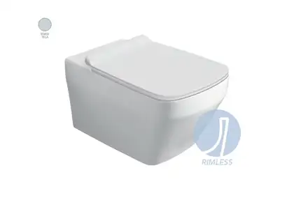 Унітаз BB 18 підвісний, tella matt + Комплект кріплень F87 до BB18/BB19  SIMAS (BB18/F87(85) TELLA MATT)
