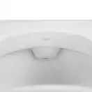 Чаша Генуя Qtap Kalao 605х450х330 White QT0823HDD55BW