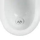 Qtap Baby Подвесной писсуар, белый с рисунком (QT2388U460EWD)